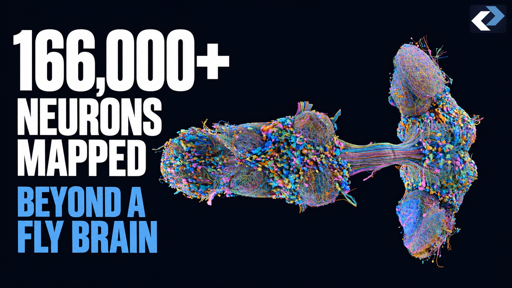 Reindent video thumbnail: A Fly Brain Map, a Game Controller and an Uploaded Mind Are Different Claims